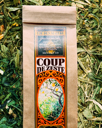 Coup de Zeste – Thé Vert Citron Gingembre 100g | Thé des Maitre