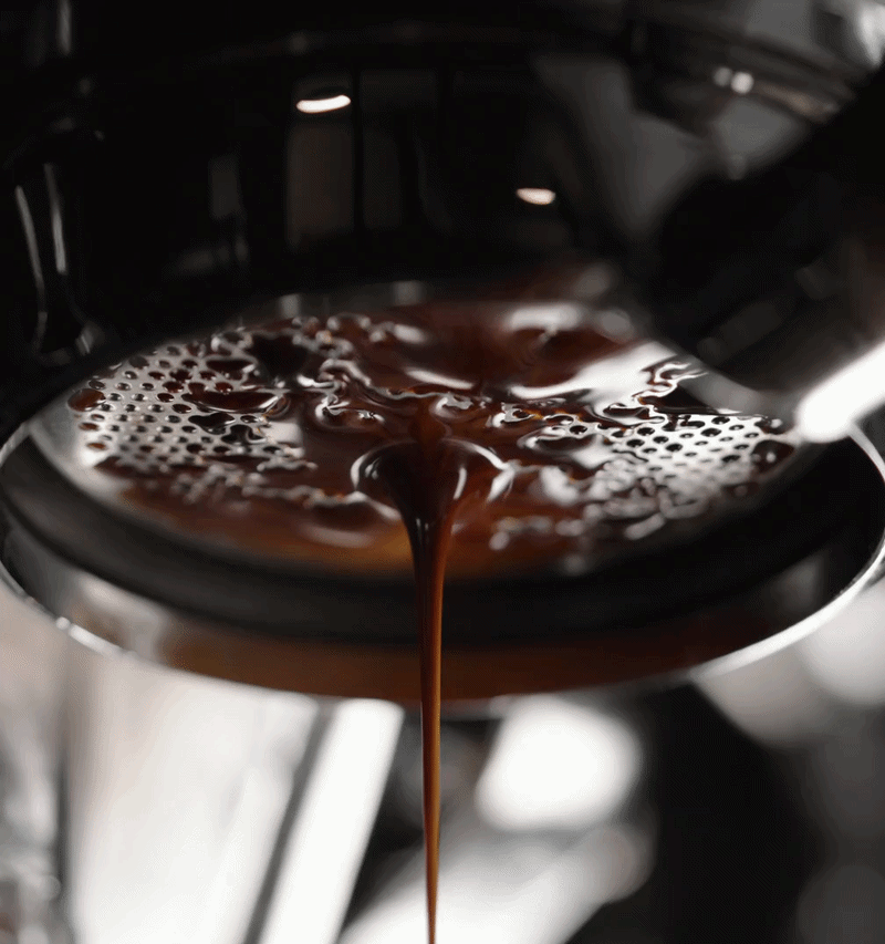 Café Colombie Huila Castillo Semi Lavé – Chocolat Noisette Caramel – Maison Maitre